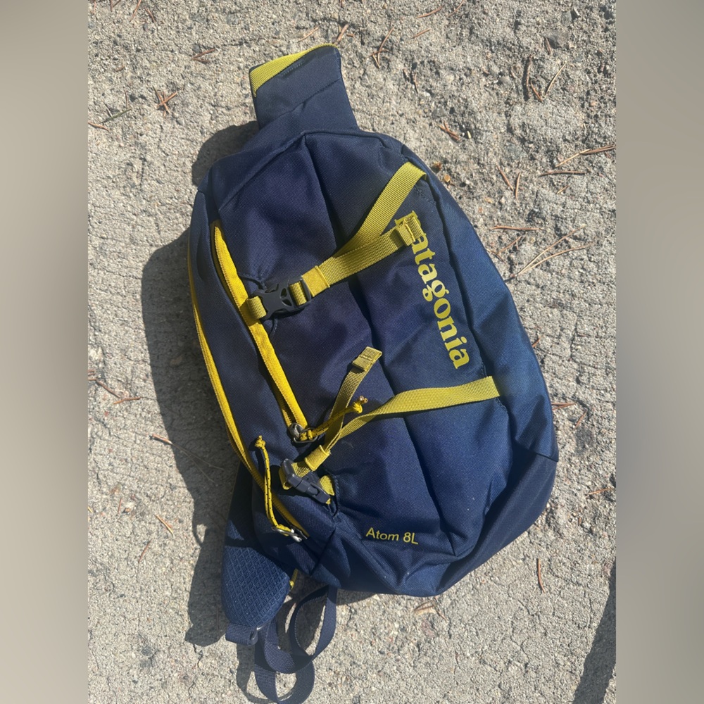 Patagonia atom bag